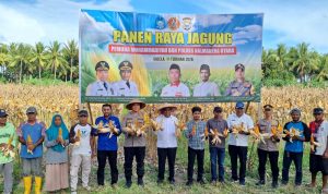 Screenshot_20260211_200136_Gallery